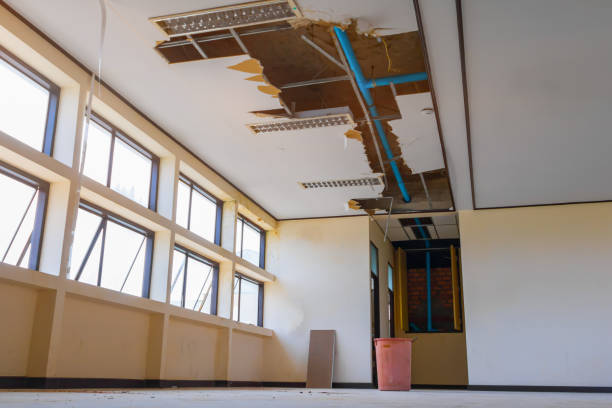Best Water damage restoration specialists  in Perry, OH