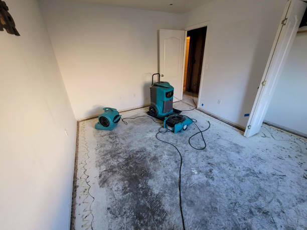 Best Water damage restoration near me  in Perry, OH