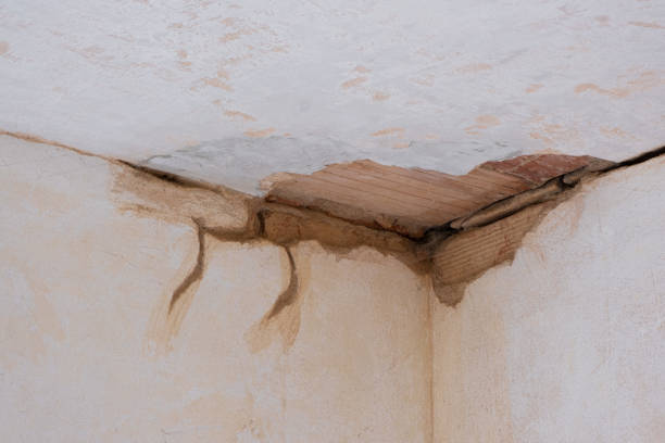 Best Water damage cleanup near me  in Perry, OH