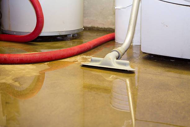 Best Flood damage cleanup  in Perry, OH