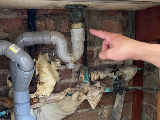 Best Emergency water extraction  in Perry, OH