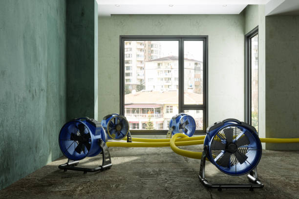 Best Basement water damage restoration  in Perry, OH